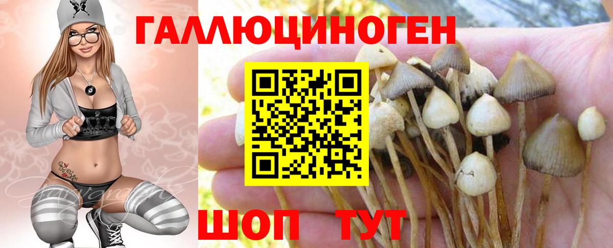Галлюциногенные грибы прущие грибы  Вход с VPN  Благовещенск 