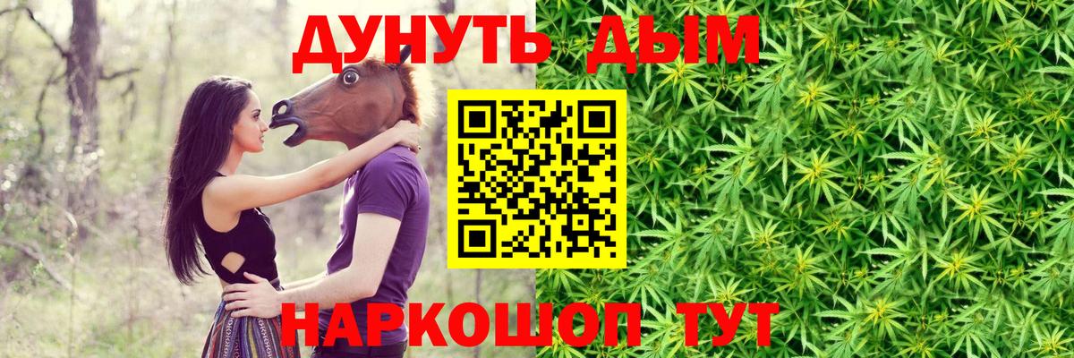 Каннабис семена  Каннабис планчик  Бошки марихуана ГИДРОПОН  Вход с VPN  Благовещенск  Каннабис марихуана 